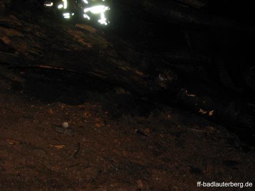 2011_06_02 Waldbrand Kummel Richtung Bismarkturm 12